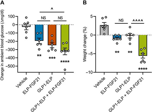 8188www威尼斯 GLP-1和FGF21共同治疗增强了单药治疗的血糖降低和体重增加抑制作用 美迪西